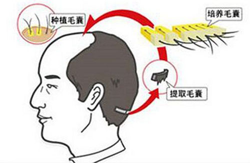口腔,,