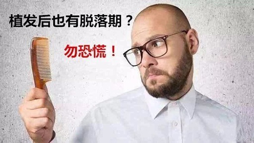植发,脱落期,